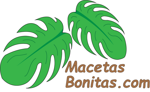 Macetas bonitas